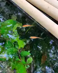 子安神社(東京都)