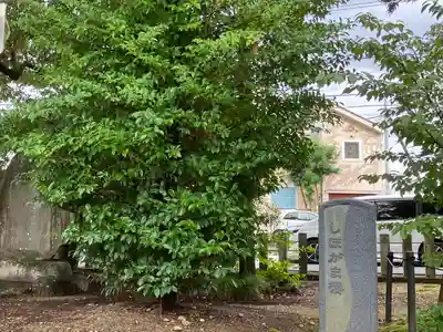 大井神社（如意）(愛知県)