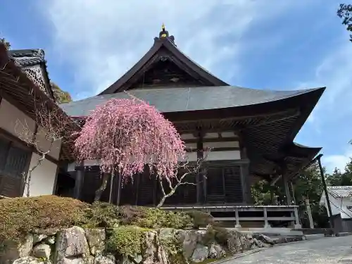 金輪寺の{uncategorized: "未分類", other: "その他", undefined: "問題あり", building: "その他建物", grave: "お墓", sacred_gate: "鳥居", guardian: "狛犬", statue: "像", buddha: "仏像", history: "歴史", nature: "自然", garden: "庭園", animal: "動物", pagoda: "塔", temizu: "手水舎", mountain_gate: "山門・神門", sanctuary: "本殿・本堂", subordinate: "末社・摂社", art: "芸術", scenery: "景色", jizo: "地蔵", ema: "絵馬", goshuin: "御朱印", omikuji: "おみくじ", items: "授与品その他", amulet: "お守り", goshuincho: "御朱印帳", eats: "食事", festival: "お祭り", votive_dance: "神楽", shichigosan: "七五三参", wedding: "結婚式", experience: "体験その他", initially: "初詣", around: "周辺", anti_infection: "感染症対策"}