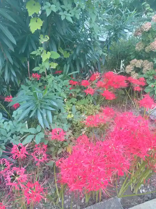 福寿院(東京都)