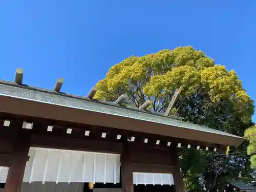 伊勢山皇大神宮(神奈川県)
