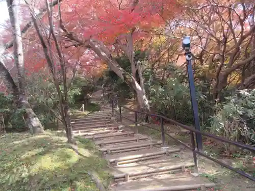 岡寺（龍蓋寺）(奈良県)