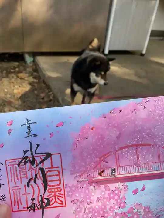 上目黒氷川神社(東京都)