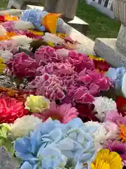 新川皇大神社の手水