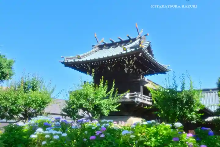 白山神社(東京都)