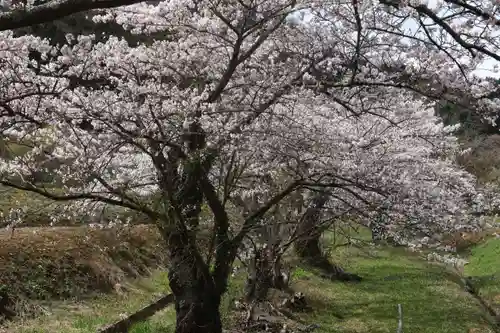 高司神社〜むすびの神の鎮まる社〜の景色