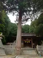 須賀神社の自然