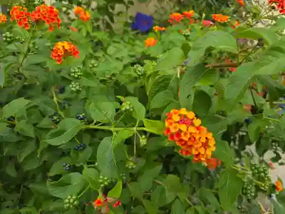 養楽寺(大阪府)