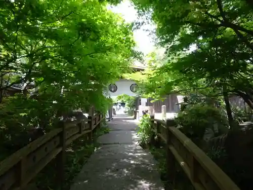 常泉寺の自然