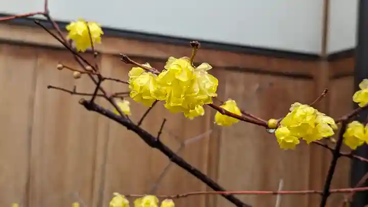 勝林寺(京都府)