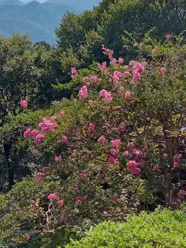 花山院菩提寺(兵庫県)