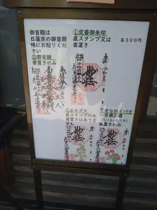 妙蓮寺(神奈川県)