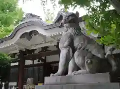 鳥越神社の狛犬