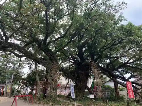 野島神社の自然