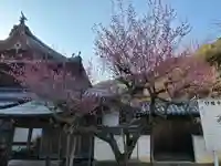 切幡寺(徳島県)