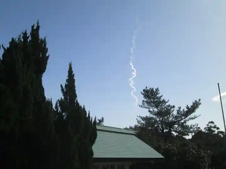 屋久島大社の体験その他