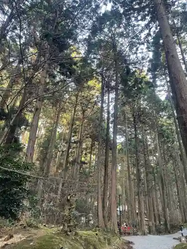 御岩神社の{uncategorized: "未分類", other: "その他", undefined: "問題あり", building: "その他建物", grave: "お墓", sacred_gate: "鳥居", guardian: "狛犬", statue: "像", buddha: "仏像", history: "歴史", nature: "自然", garden: "庭園", animal: "動物", pagoda: "塔", temizu: "手水舎", mountain_gate: "山門・神門", sanctuary: "本殿・本堂", subordinate: "末社・摂社", art: "芸術", scenery: "景色", jizo: "地蔵", ema: "絵馬", goshuin: "御朱印", omikuji: "おみくじ", items: "授与品その他", amulet: "お守り", goshuincho: "御朱印帳", eats: "食事", festival: "お祭り", votive_dance: "神楽", shichigosan: "七五三参", wedding: "結婚式", experience: "体験その他", initially: "初詣", around: "周辺", anti_infection: "感染症対策"}