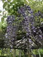 七戸神明宮の庭園