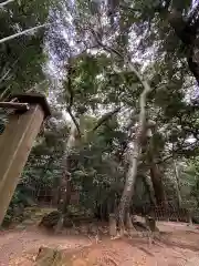 八重垣神社(島根県)