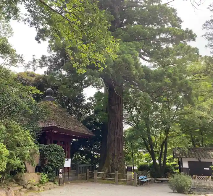 宝城坊(神奈川県)