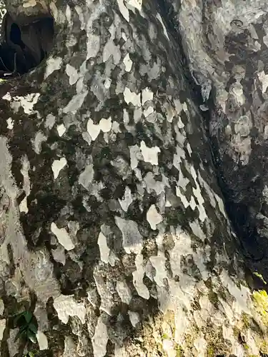 花山院菩提寺(兵庫県)