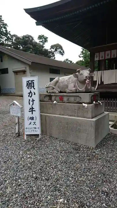 矢奈比賣神社(見付天神)の狛犬