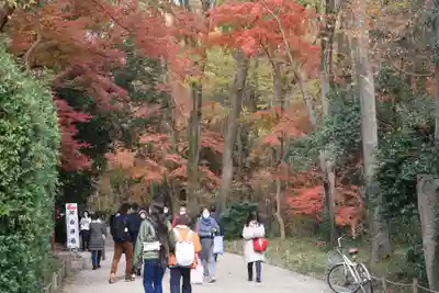 賀茂御祖神社（下鴨神社）のその他建物