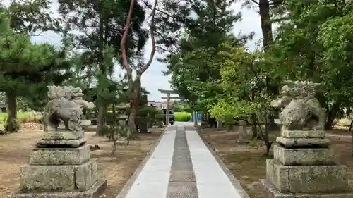 須佐之男神社の狛犬