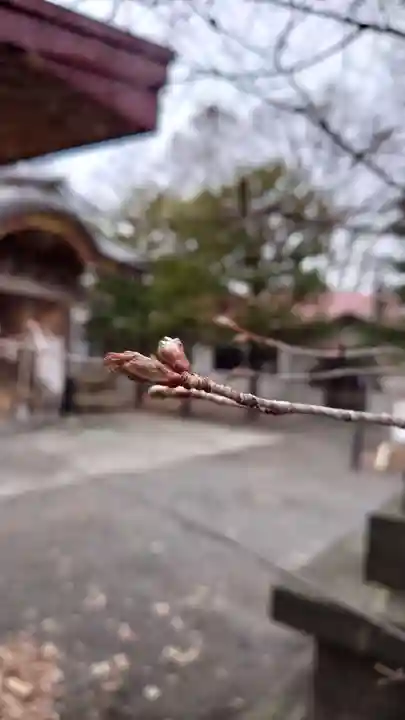相馬神社(北海道)