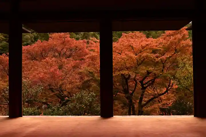高山寺(京都府)