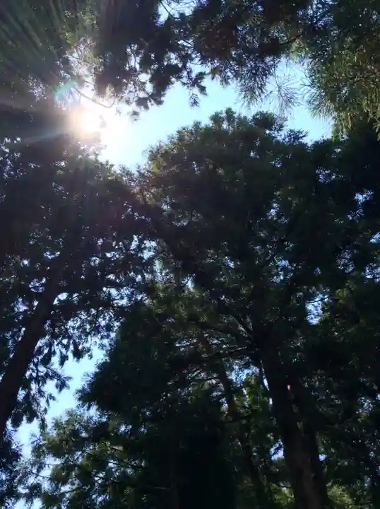 豊景神社の自然