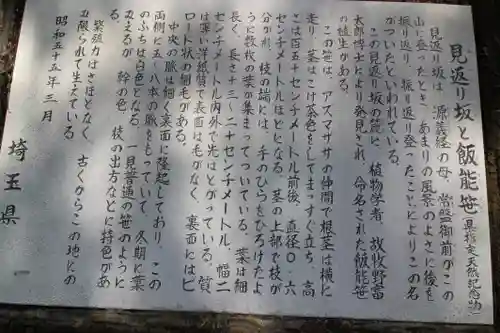 御嶽八幡神社(埼玉県)