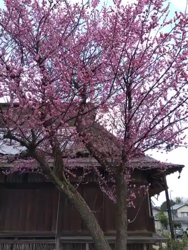 神明社(福井県)