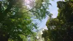 赤坂氷川神社の景色