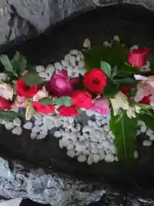 厚別神社(北海道)(2023年08月16日(水) 13時56分14秒投稿)