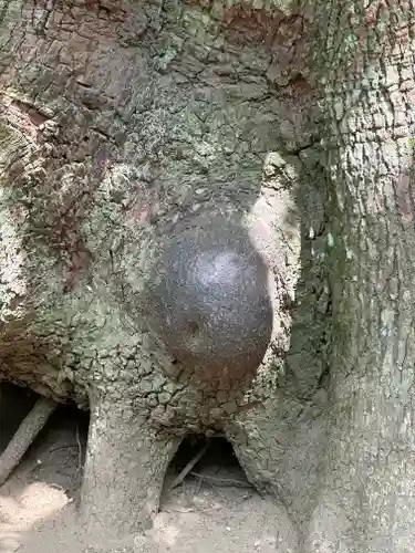 江田神社(宮崎県)