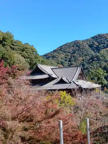 長谷寺(奈良県)