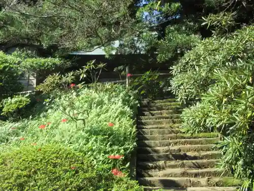 浄光明寺の景色