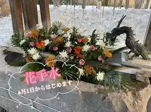 彌彦神社 (伊夜日子神社)の手水舎(2024年03月28日(木) 09時32分14秒投稿)