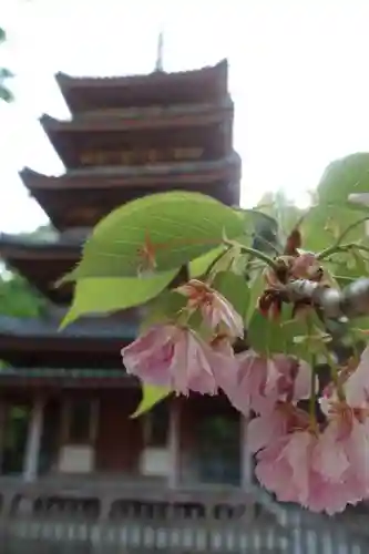 海住山寺の塔