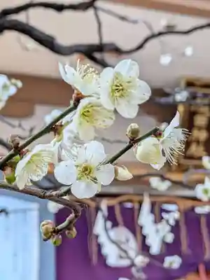 穏田神社(東京都)