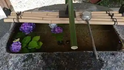 猿江神社の手水舎