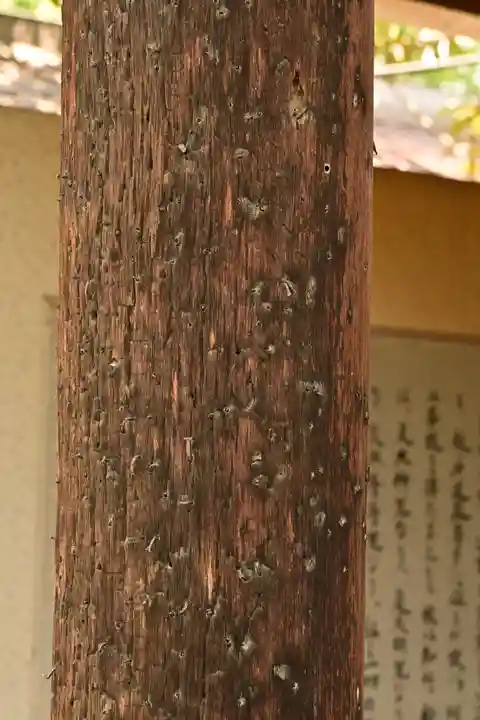 西光寺(埼玉県)