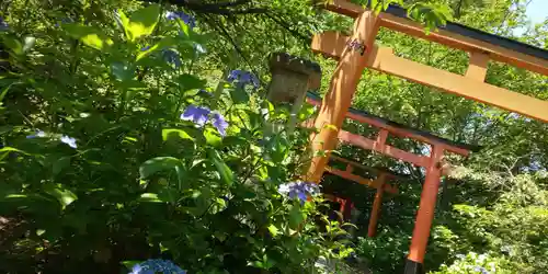 平野神社(京都府)