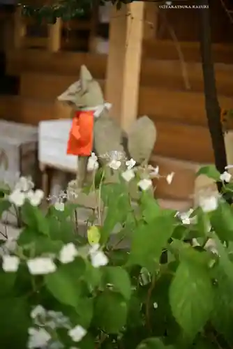 五十稲荷神社(栄寿稲荷神社)(東京都)