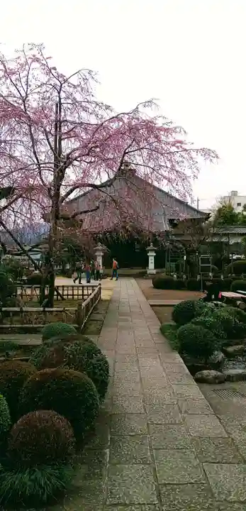 金剛寺(東京都)