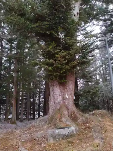 八雲神社（筆甫）(宮城県)