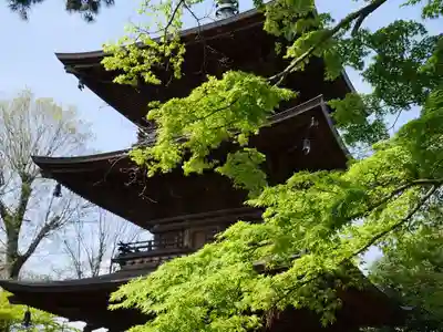 豪徳寺のその他建物