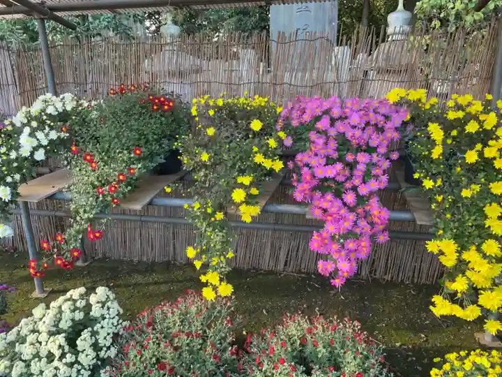 大生郷天満宮の自然