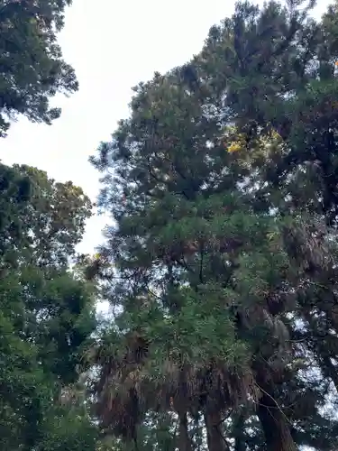 大宮温泉神社(栃木県)